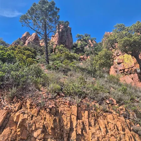 F2 Port 250 M Plage, Garage Et Pret De 2 Vtt ! Διαμέρισμα Fréjus
